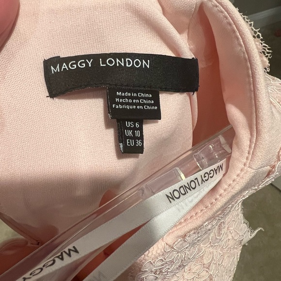 Nordstrom Maggy London Blush Dress with Lace (wedding/cocktail) size 6 - Picture 2 of 4